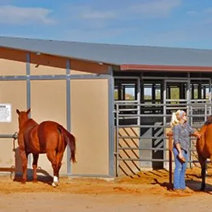 Tucson Equestrian Center offers basic and specialized riding lessons and comprehensive boarding services