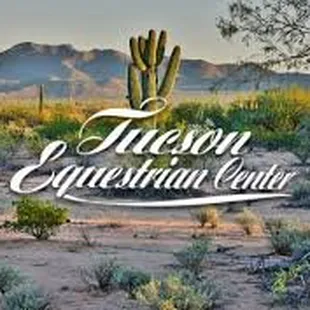 Tucson Equestrian Center, known nationwide for performance horse training, specialized rehab, conditioning, mare care and sales.