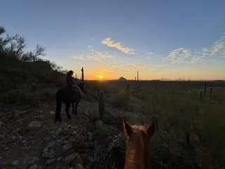 Tucson Mountain Stables
