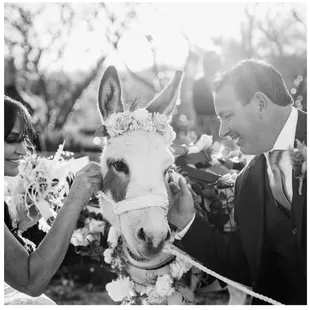 Tucson Event Rentals