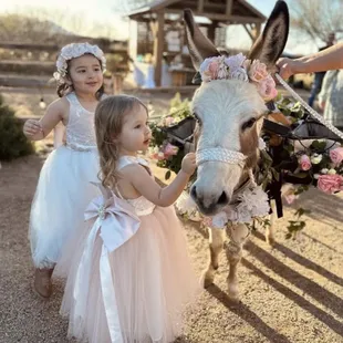 Beer burro at a wedding