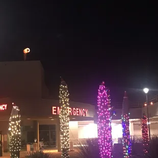 Tmc tucson az waited outside in truck 1 hour for urgent care to do paperwork before ekg! Fa la la la lah?