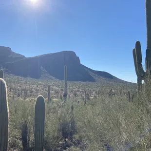 Behind Sombrero Peak