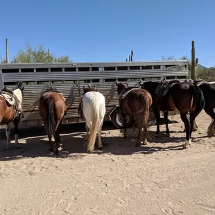 Touching nature this Saturday morning.