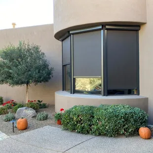 Tucson Solution Screens block the sun from heating up your windows.