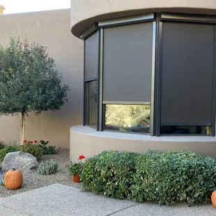 Solution Screens keep your home cool by blocking the sun before it heats up the windows.