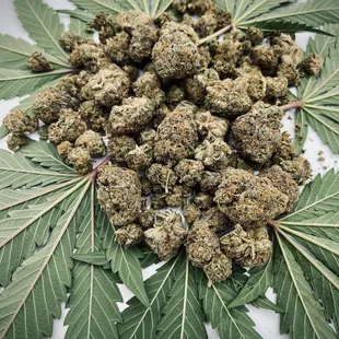 This strain is Saints-grow Dosido. It is a 50/50 hybrid. Thanks Saints!