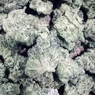 Donnie Burger close-up