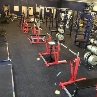 Top of the line Powerlifting Equipment