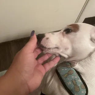 How he looked the night before