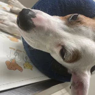 How he was after the ran tests and cleaned his eye