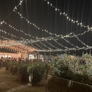 a night time view of a patio with string lights