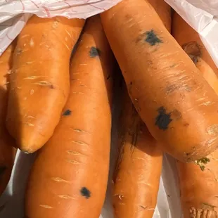 Mold on carrots