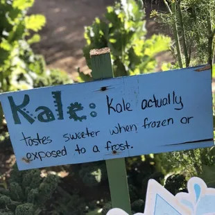a sign for kale
