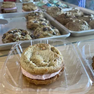 PB&amp;J Cookie!  (6/11/2022)