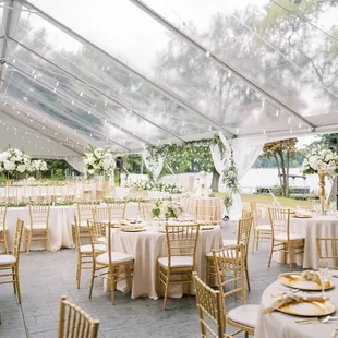 Another great shot from Balsam and Blush Photographer