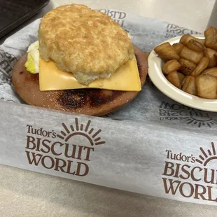 Massive slice of thick cut bologna - a real Politician!