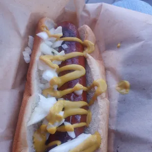 Hot link with mustard onions