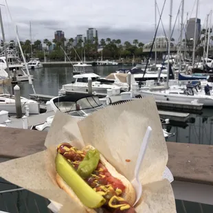 Chicago style polish hot dog