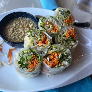 Fresh Spring Rolls