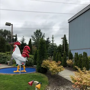 The giant cock