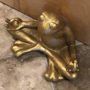 Tula frog