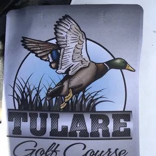 Improved logo for the course