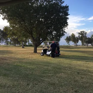Cousins contemplating their next shot