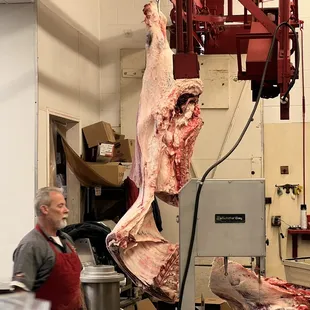 Breaking down a side of beef