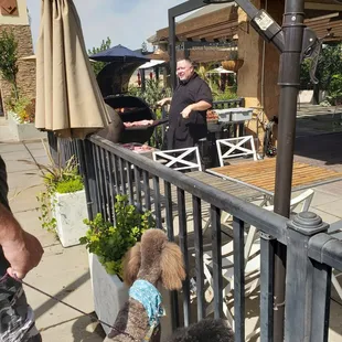 My dogs watching Bravo Farms BBQ their tri tips