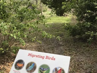 Demonstration Garden & Wetland's Pond Area