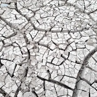 Cracked, dry creek bed.