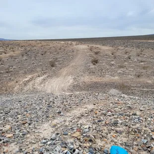 ATV tracks w/ blue marker.