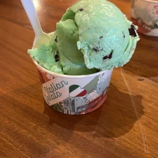 Mint and Chocolate Gelato