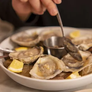 Half Dozen Oysters