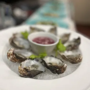 a plate of oysters with sauce