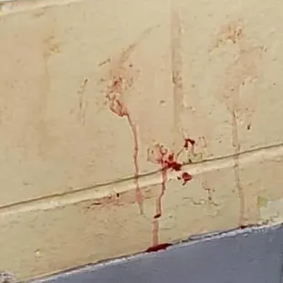 This is Maggie. She was BEATEN by animal control officer named Emily. Maggie was euthanized. Volunteers  will not speak up. .