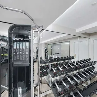Health club  fitness center  gym