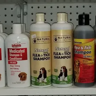 Flea Shampoos