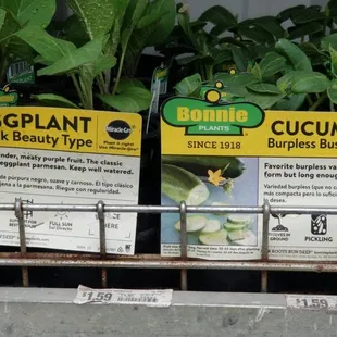 Garden Veggies