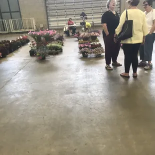 Flowers for sale at flea market may 2018