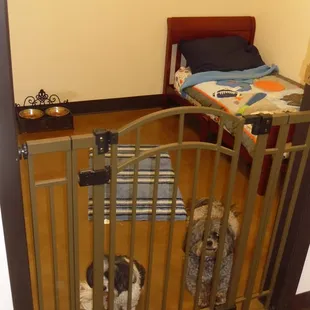 8' x 10' Private Luxury Suite