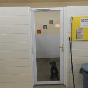 One of our 6' x 8' Standard Suites