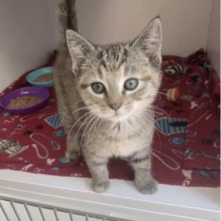 This is Beaulah, we adopted her