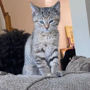 Beaulah thinks she is the queen of her new castle