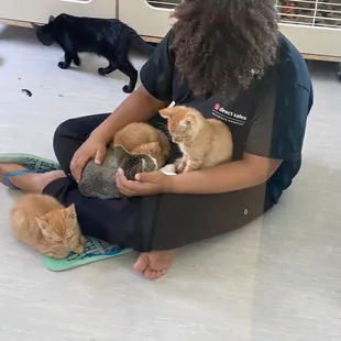My son spending time with the kittens at the Tulsa SPCA. These kittens were well taken care of.