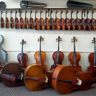 Basses at Tulsa Strings Violin Shop