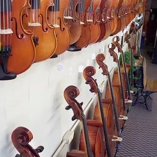 Cellos at Tulsa Strings