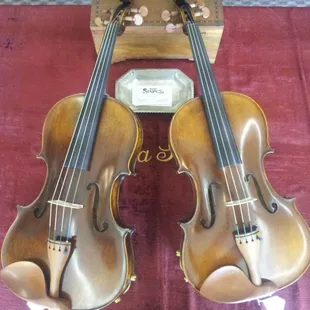 Eastman model 305 Tertis viola at Tulsa Strings Violin Shop