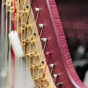 Did you know? The harp is one of the oldest instruments in the world, dating back to around 15,000 BC